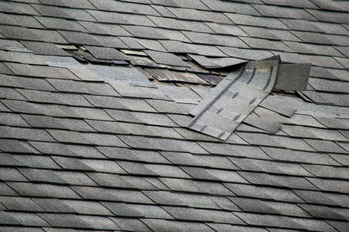 Roof repair roofing company in Charlotte and Wilmington